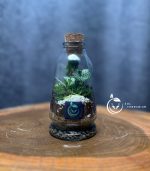 تراریوم مدل چوب پنبه مخروطی سل تراریوم - Image 3