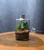 تراریوم مدل چوب پنبه سه وجهی سل تراریوم - Image 3