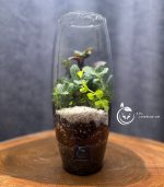 تراریوم مدل خمره ای سل تراریوم - Image 3
