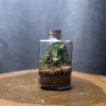 چوب پنبه سه وجهی