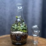 بطری فرانسه