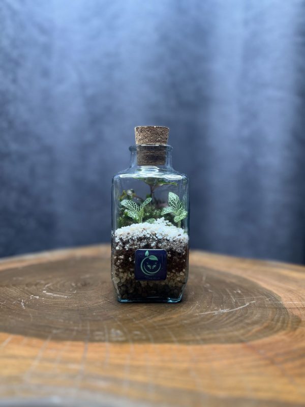 چوب پنبه چهار وجهی - تصویر 1