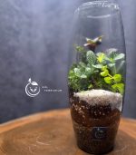 تراریوم مدل خمره ای سل تراریوم - Image 5