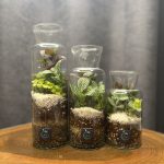 آزمایشگاهی