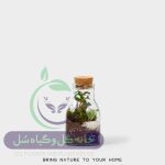 تراریوم مدل چوب پنبه سه وجهی گردن دار سل تراریوم