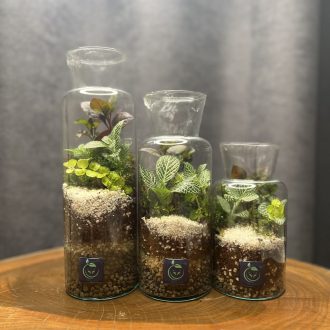 آزمایشگاهی