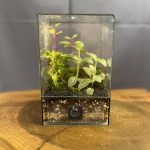 کتابی ایستاده