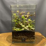 چهار ضلعی در دار