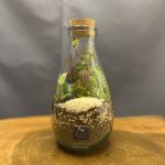 چوب پنبه آمازون