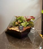 تراریوم مدل یاقوت سل تراریوم - Image 3