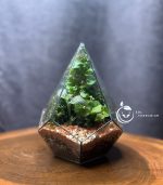 تراریوم مدل الماسی ایستاده سل تراریوم - Image 3