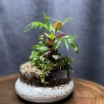 دوشیشه حباب دار