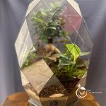 تک الماس بزرگ