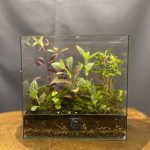 کتابی نشسته