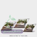 تراریوم مدل یاقوت سل تراریوم