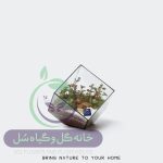 تراریوم مدل مربع سر کج سل تراریوم - Image 2