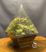 تراریوم مدل الماسی مثلث سل تراریوم - Image 5