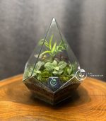 تراریوم مدل الماسی ایستاده سل تراریوم - Image 5