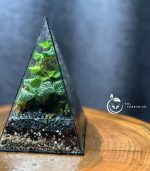 تراریوم مدل هرمی سل تراریوم - Image 6