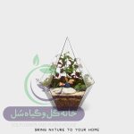 تراریوم مدل الماسی مثلث سل تراریوم - Image 2