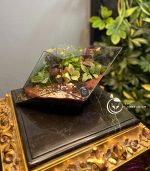 تراریوم مدل یاقوت سل تراریوم - Image 5