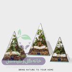 تراریوم مدل هرمی سل تراریوم